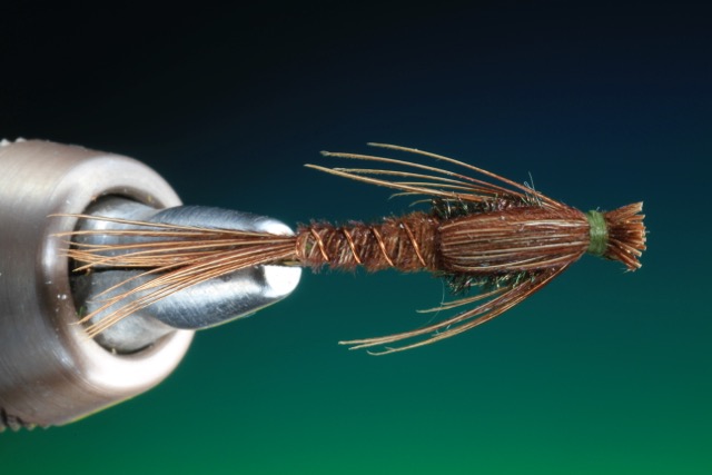 Pheasant tail nymph