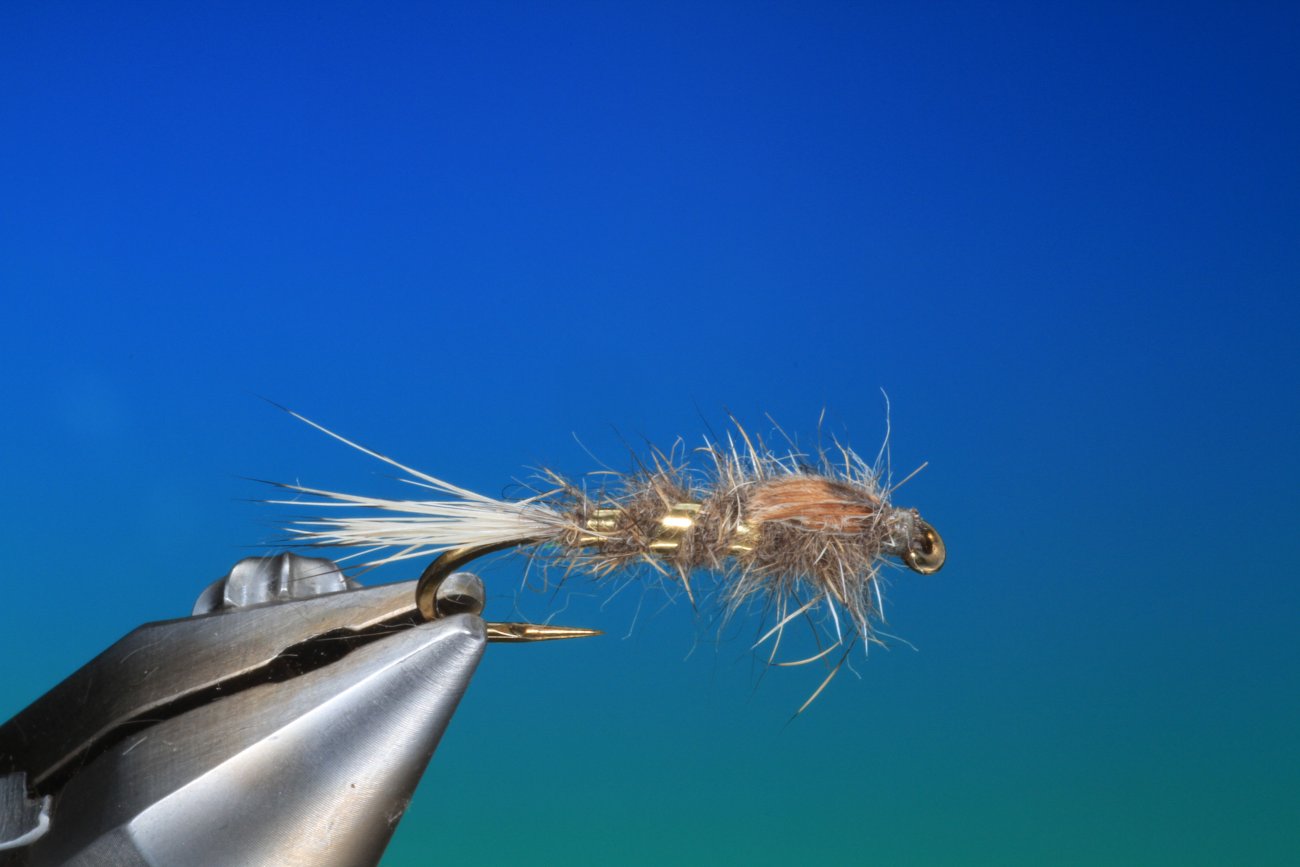 Gold Ribbed Hares Ear – GRHE