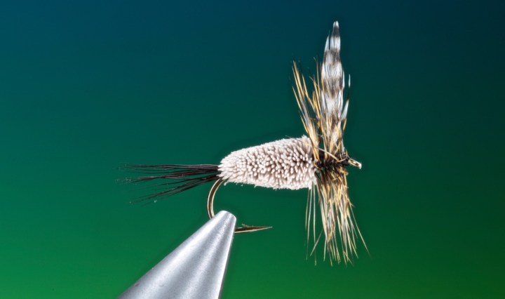 Adams irresistible fly tied by Barry Ord Clarke