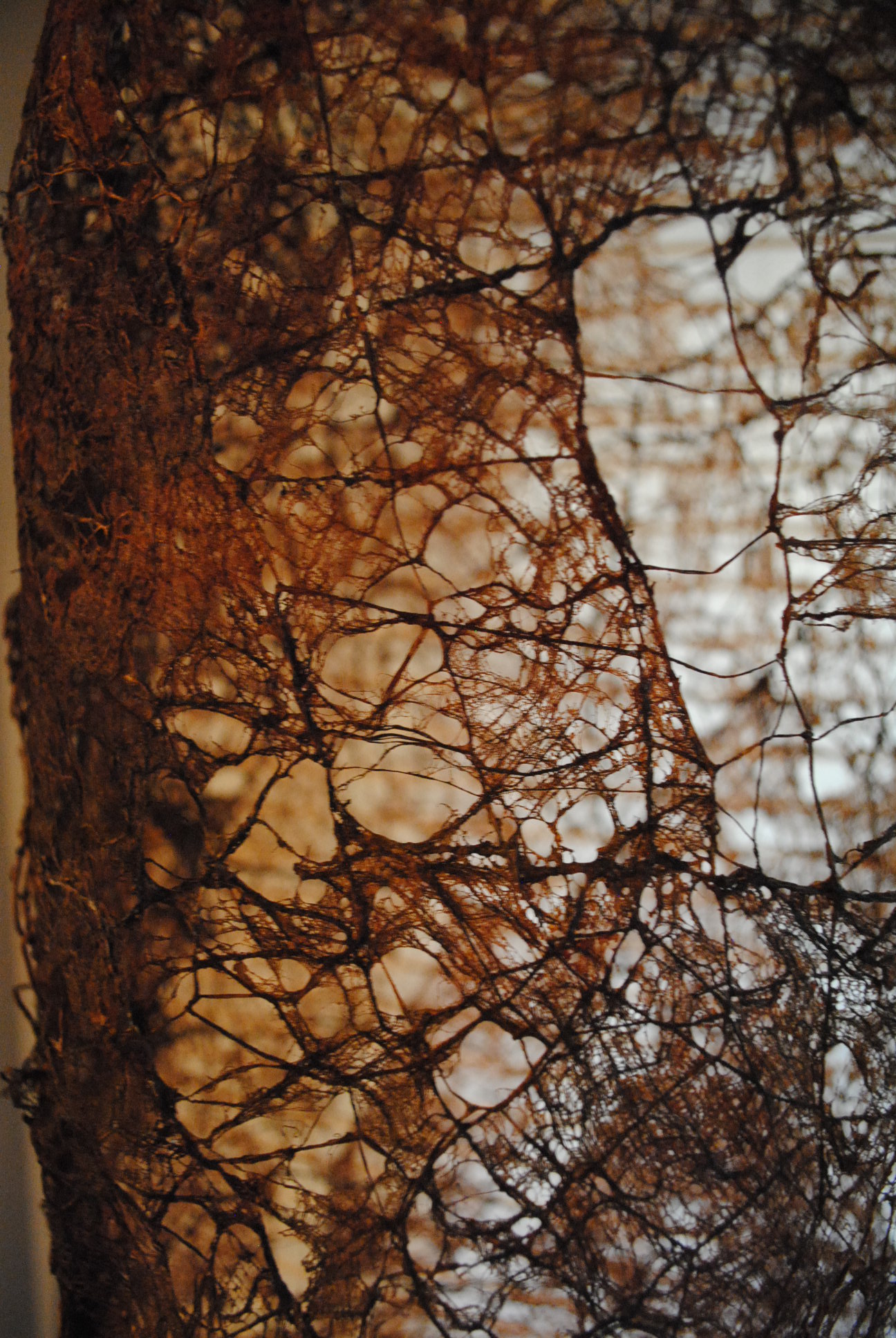 “Morada que un soplo desvanece” Detail