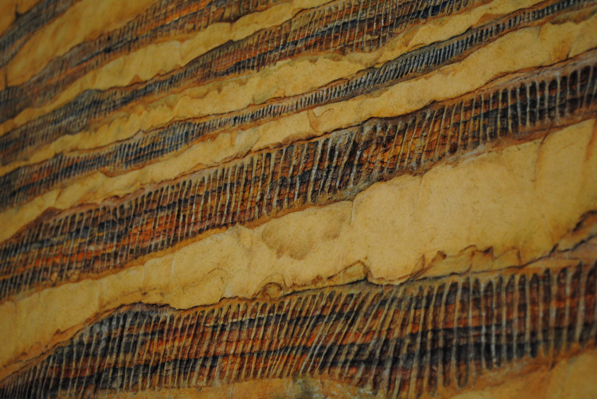 “Autorretrato de la mitad de mi vida” Detail