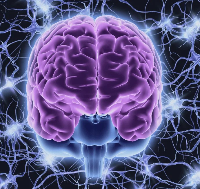 Nervous System Healing Package