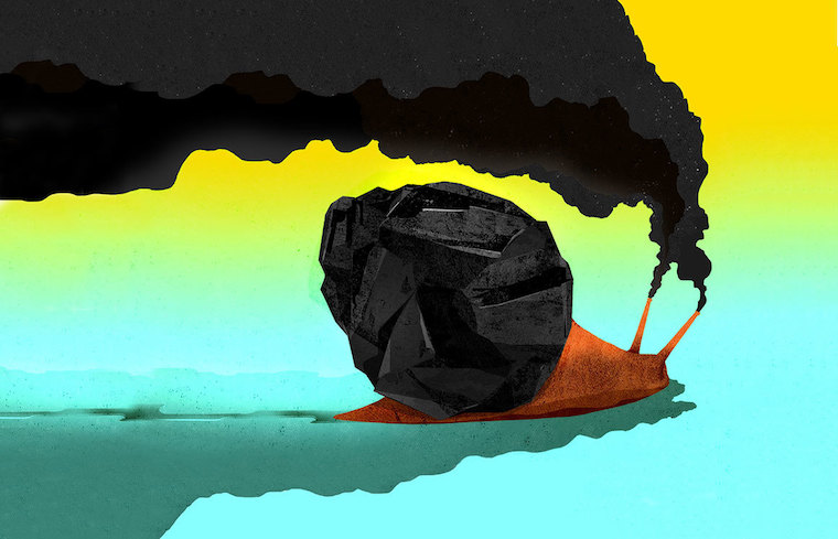 slow climate action