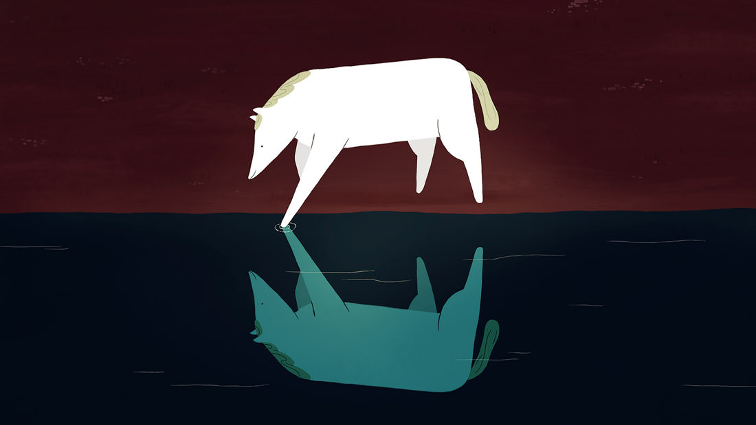 A white animal with a spotlight reflection over dark water.