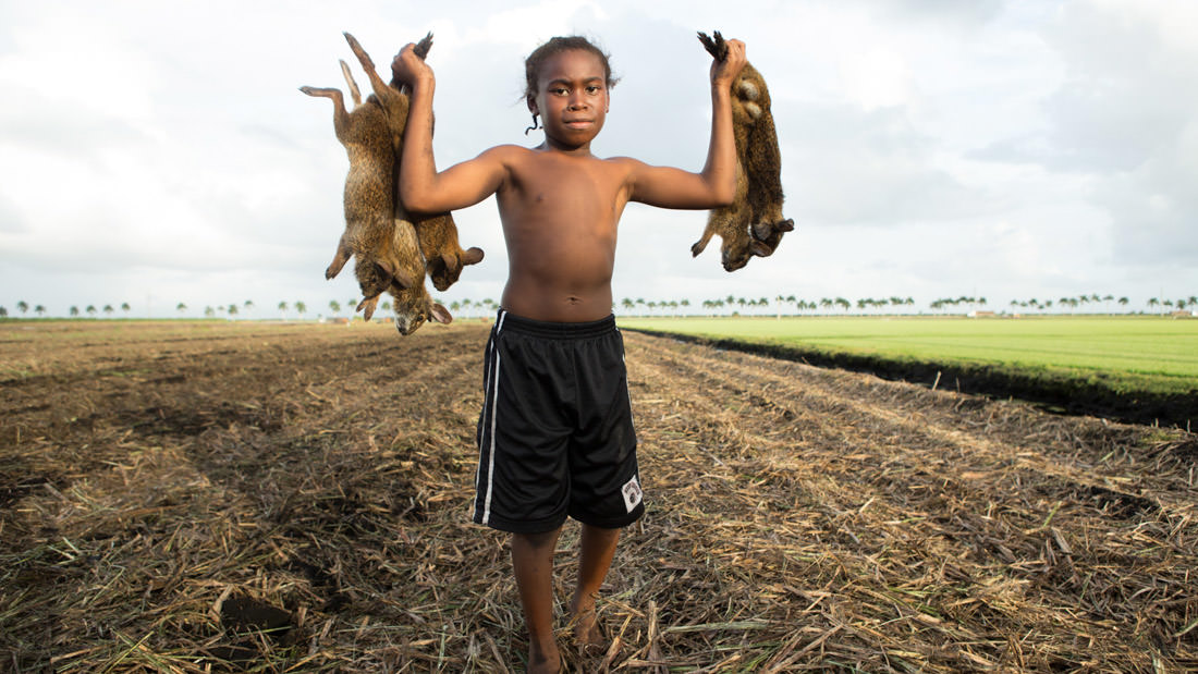 Boy holding two monkeys by their tails in a field.