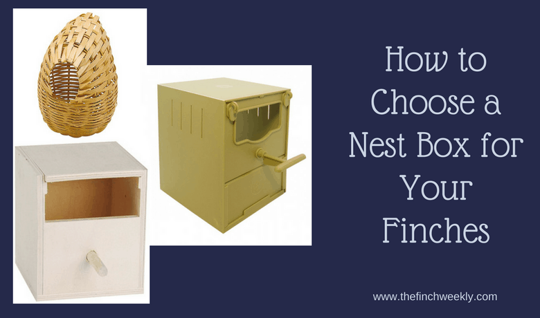 How To Choose A Nest Box For Your Finches The Finch Weekly