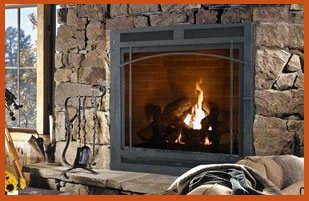 Napoleon Fireplaces Digital Echidna