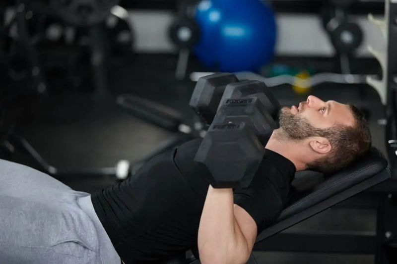 Workout Splits Pdf - Colorful Illustrations - Amazing Mobile Collection