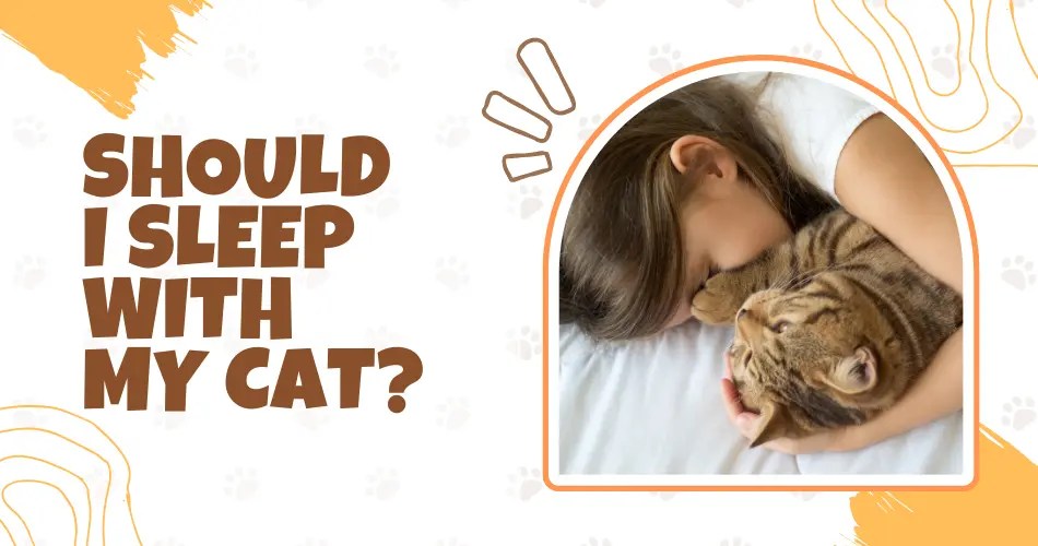 Should i sleep with my cat?