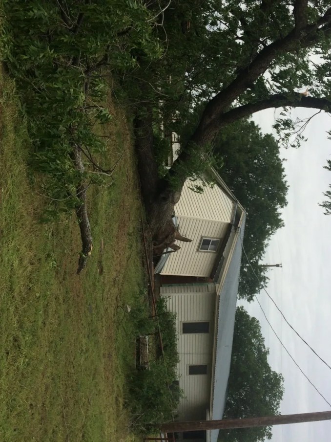 Contributed by Joe Brown, commissioner of Precinct 3