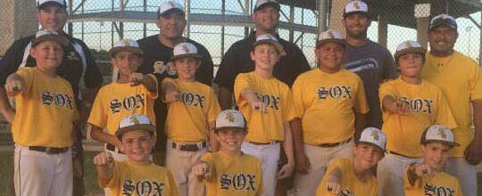 10U Sox feature
