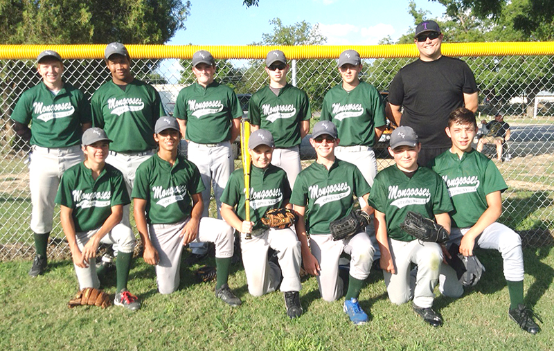 15U Mongooses