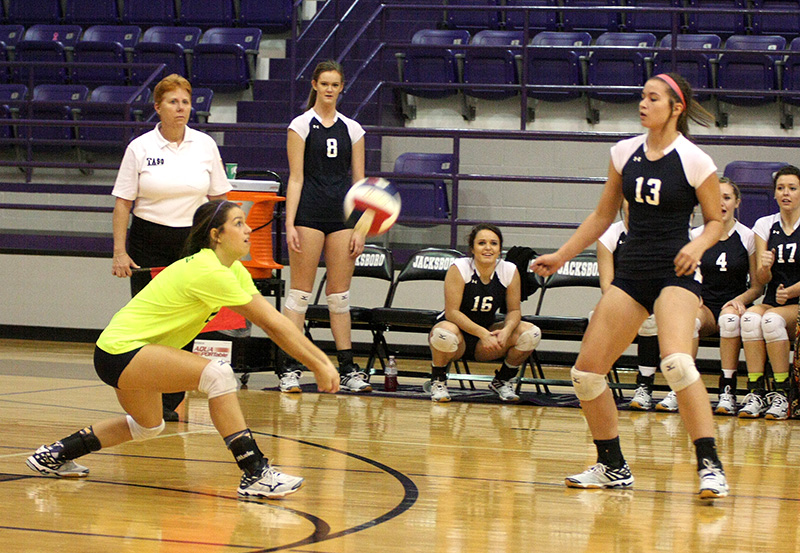 Bees-Hirschi 06