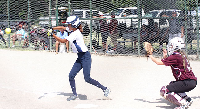 Summer Bees vs. Milano FEATURE