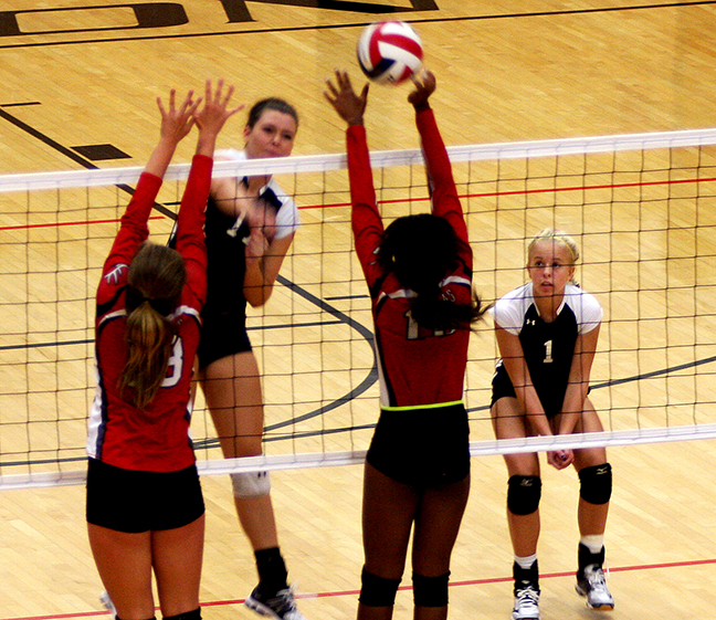 Bees VB at Burleson 02