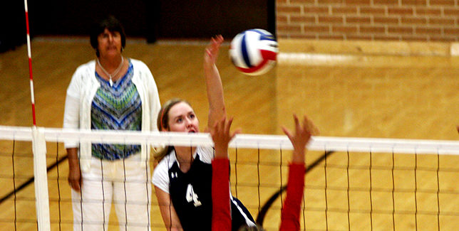 Bees VB at Burleson 12