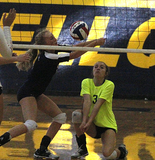 Bees vs West VB 02