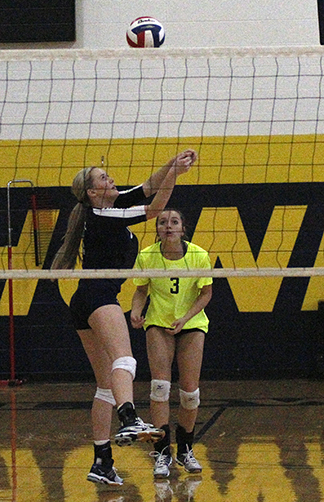 Bees vs West VB 04