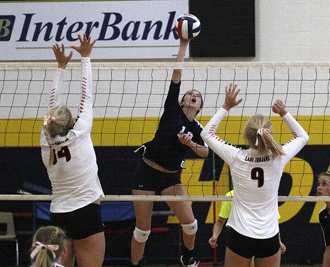 Bees vs West VB 05