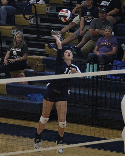 Bees vs West VB 07