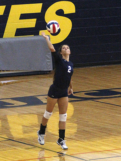 Bees vs West VB 08