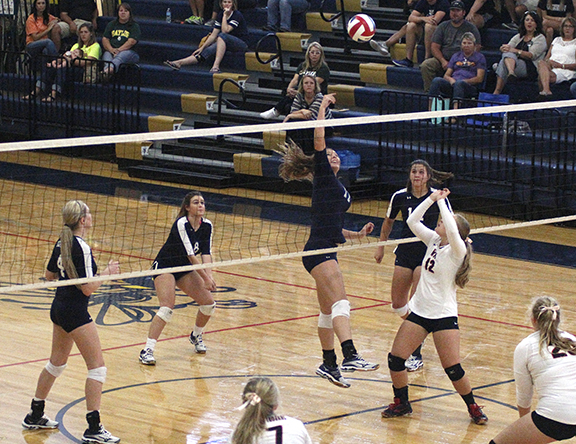 Bees vs West VB 10