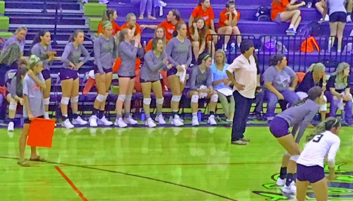 Bees-Midlo Her VB Feature