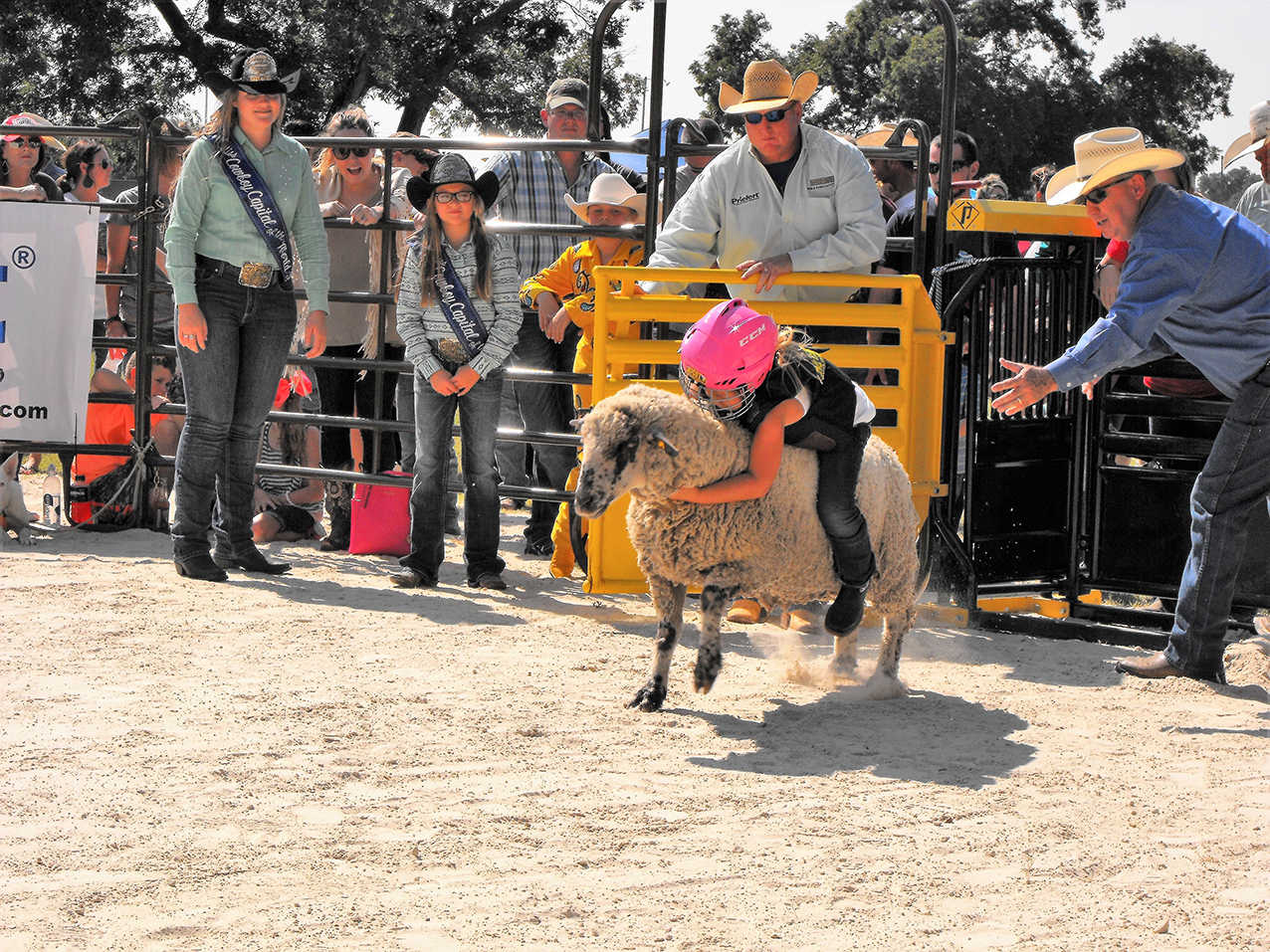 CCWR Mutton Bustin 13