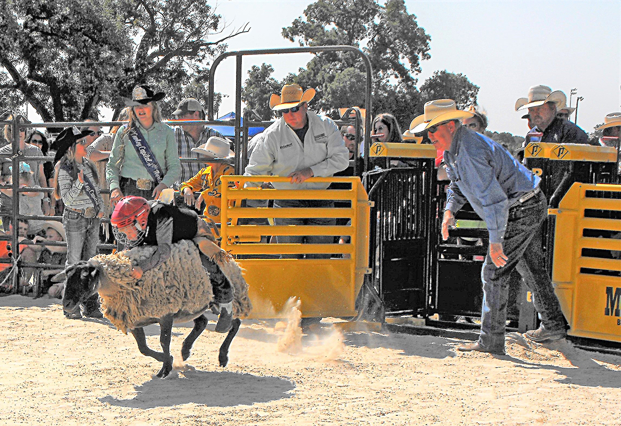 CCWR Mutton Bustin 15