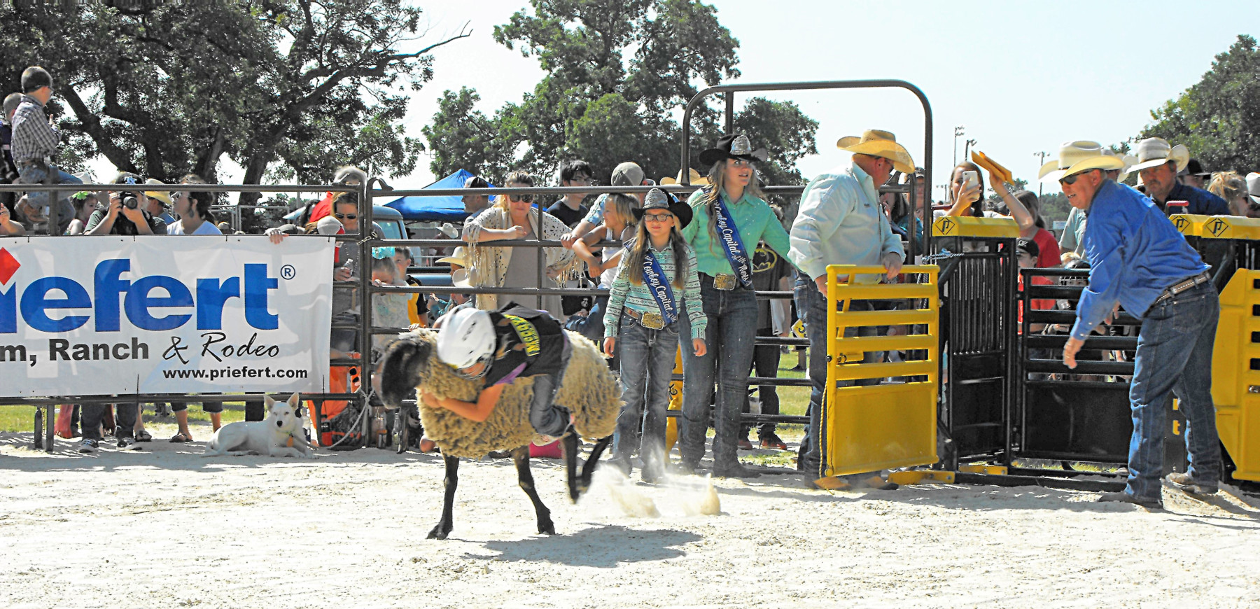 CCWR Mutton Bustin 16