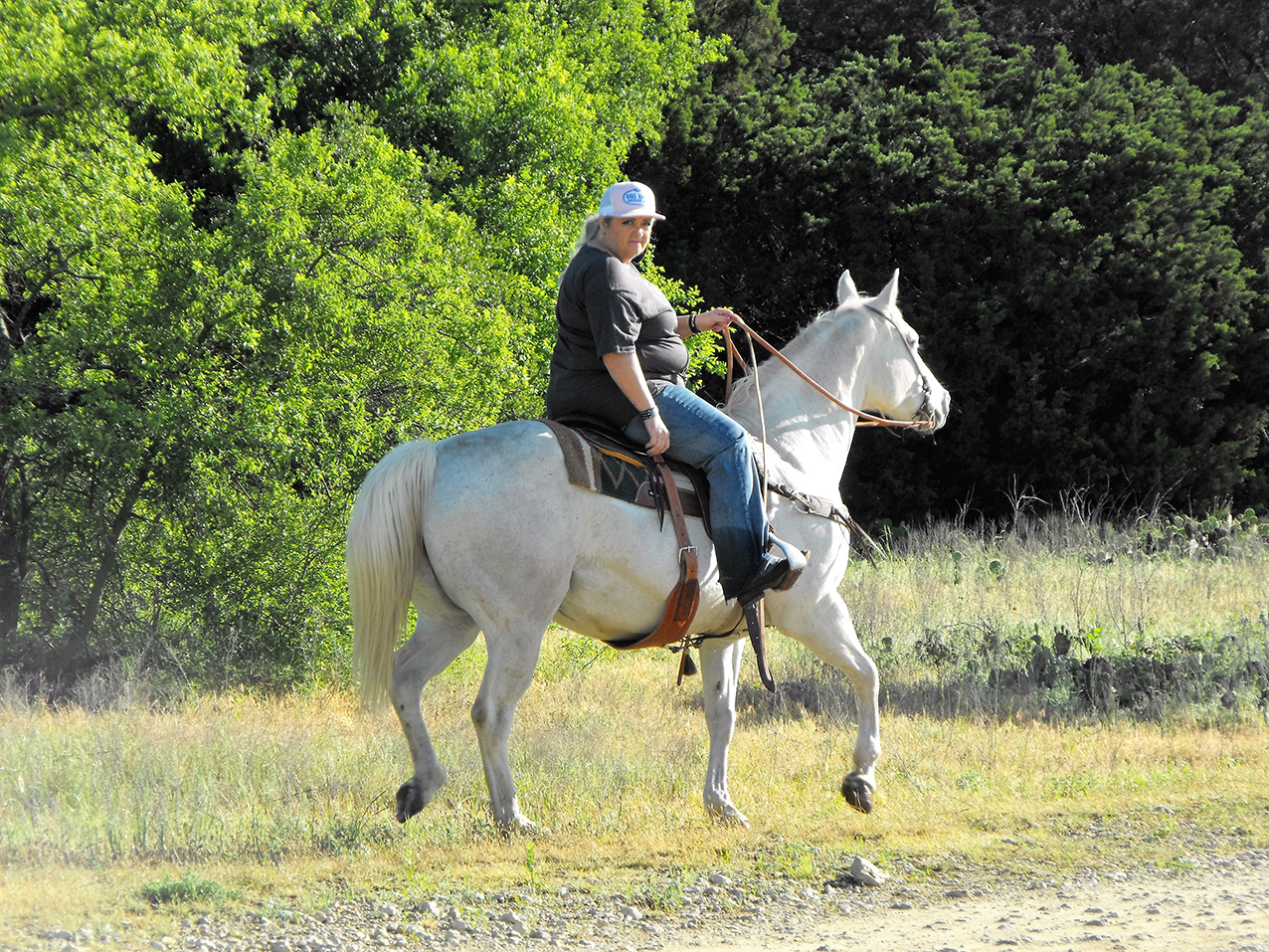 MS Trailride 12