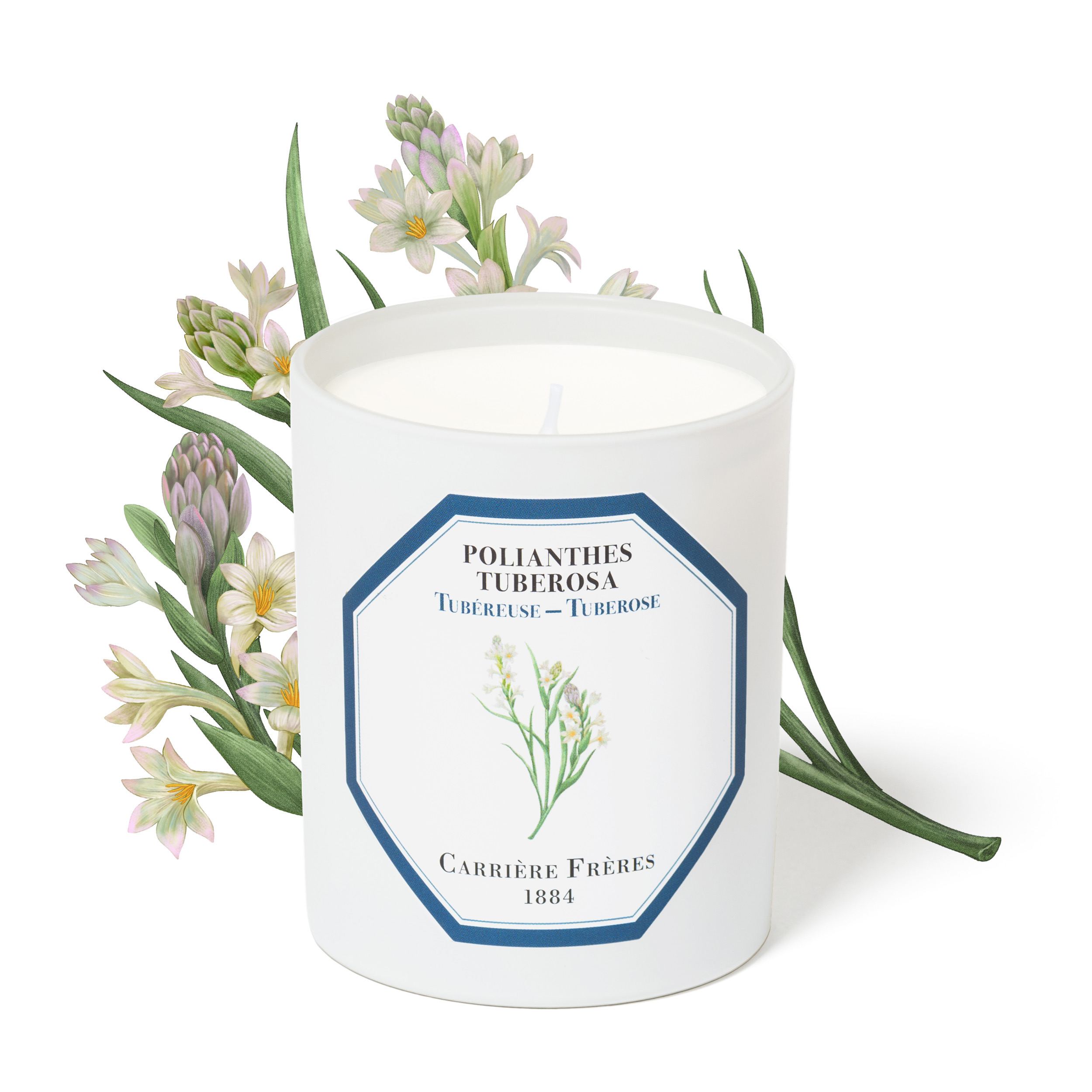 Tuberosa- Carriere Frères Candle