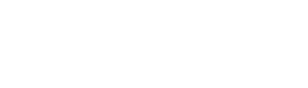 Flush Factor Plus White Logo
