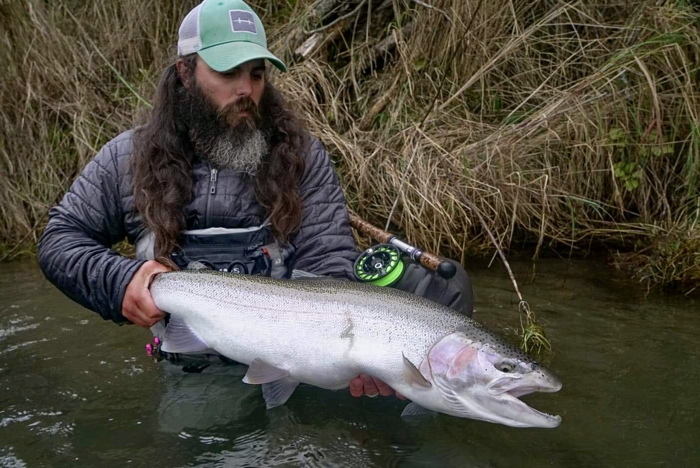 The Rainbow Trout of Naknek River AK