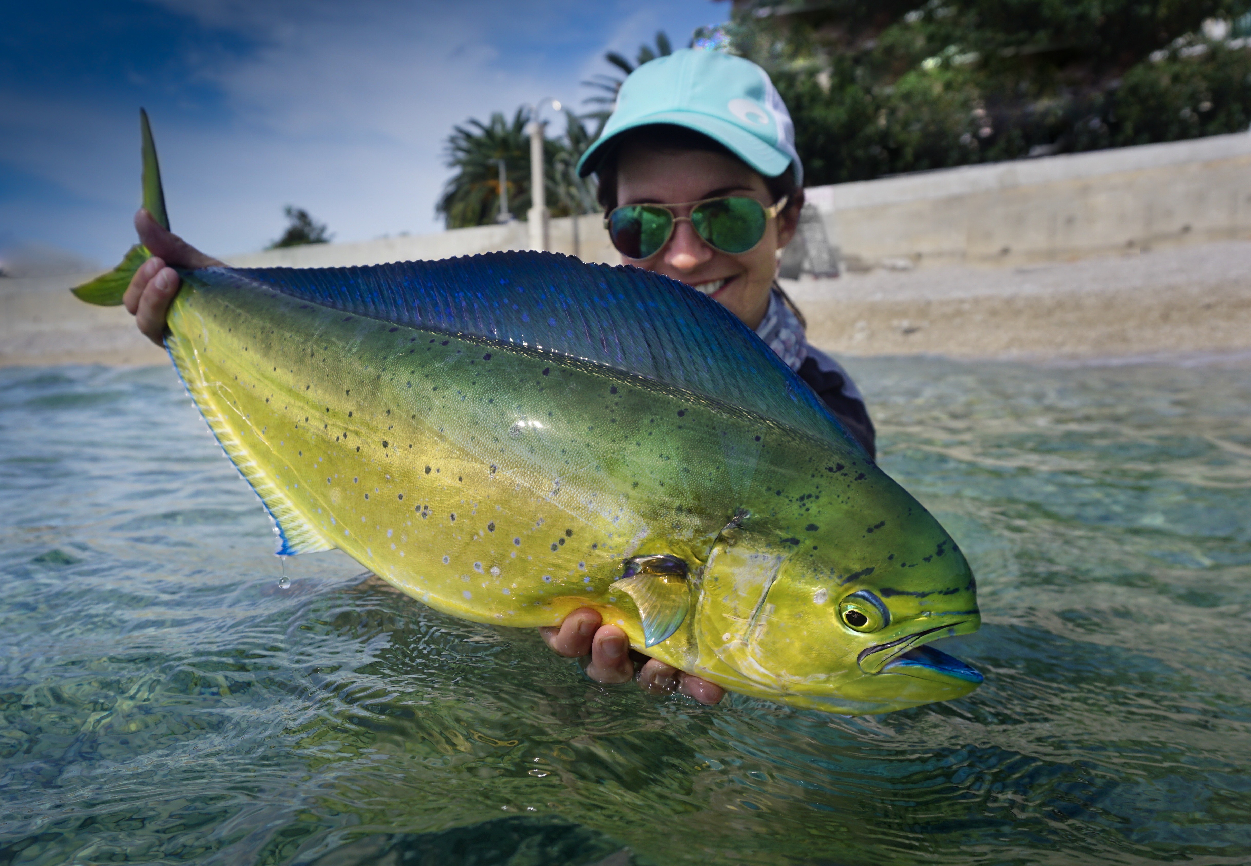 Mahi Mahi on the Beaches of Croatia – Tips to Catch Them