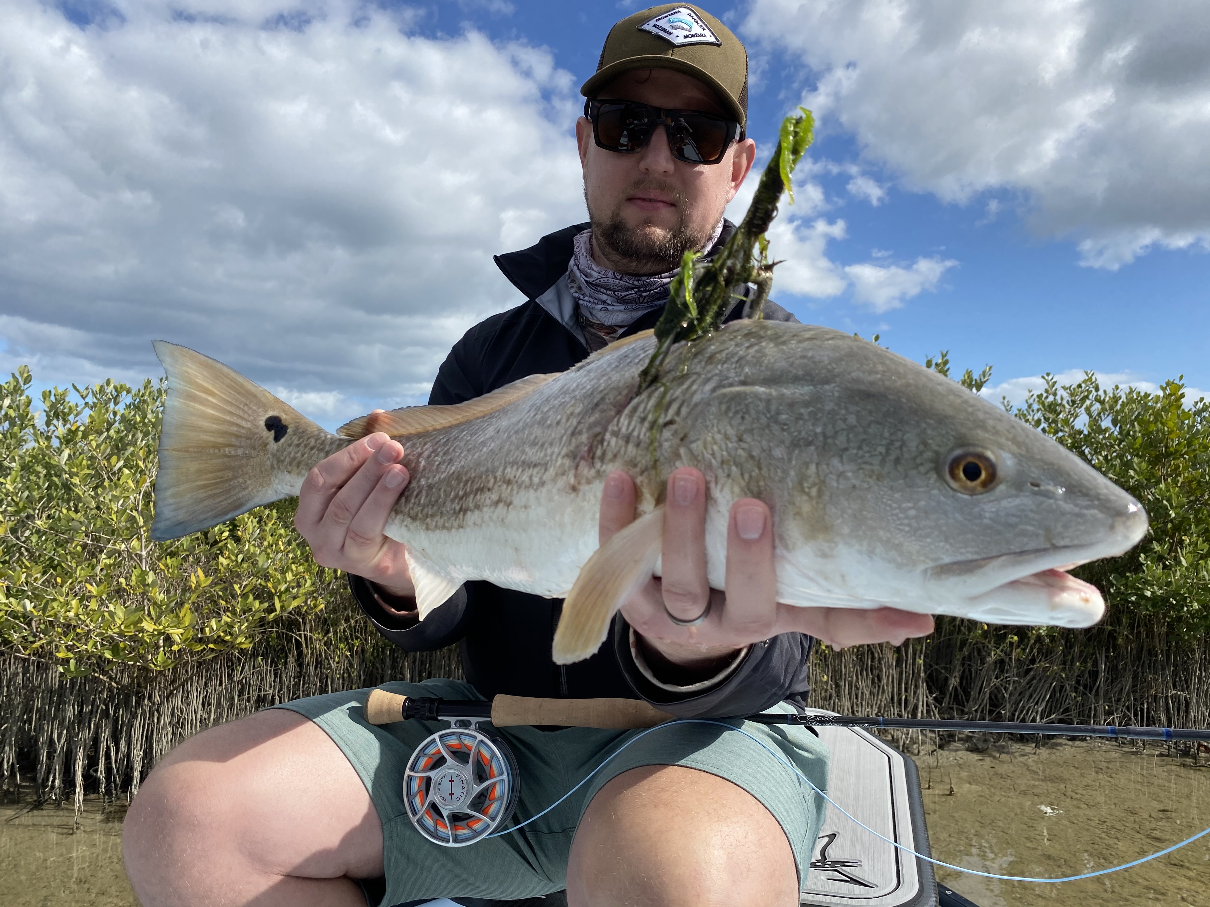 Redfish Landed with Illegal Gig Sticking Out of It’s Head