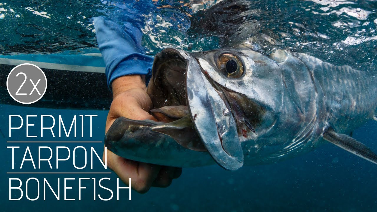 Fly Fishing Belize: 2 Grand Slams in 2 Days [Full Video]