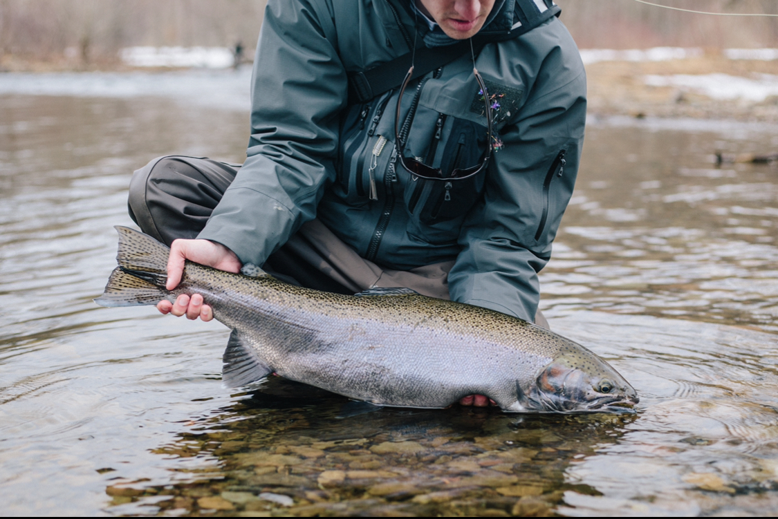 Early Spring Great Lakes Steelhead Tips