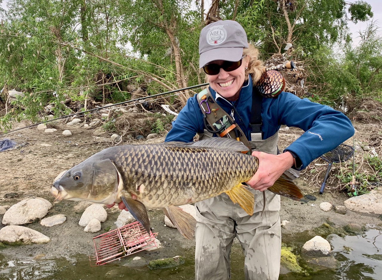 World Record Carp LA River