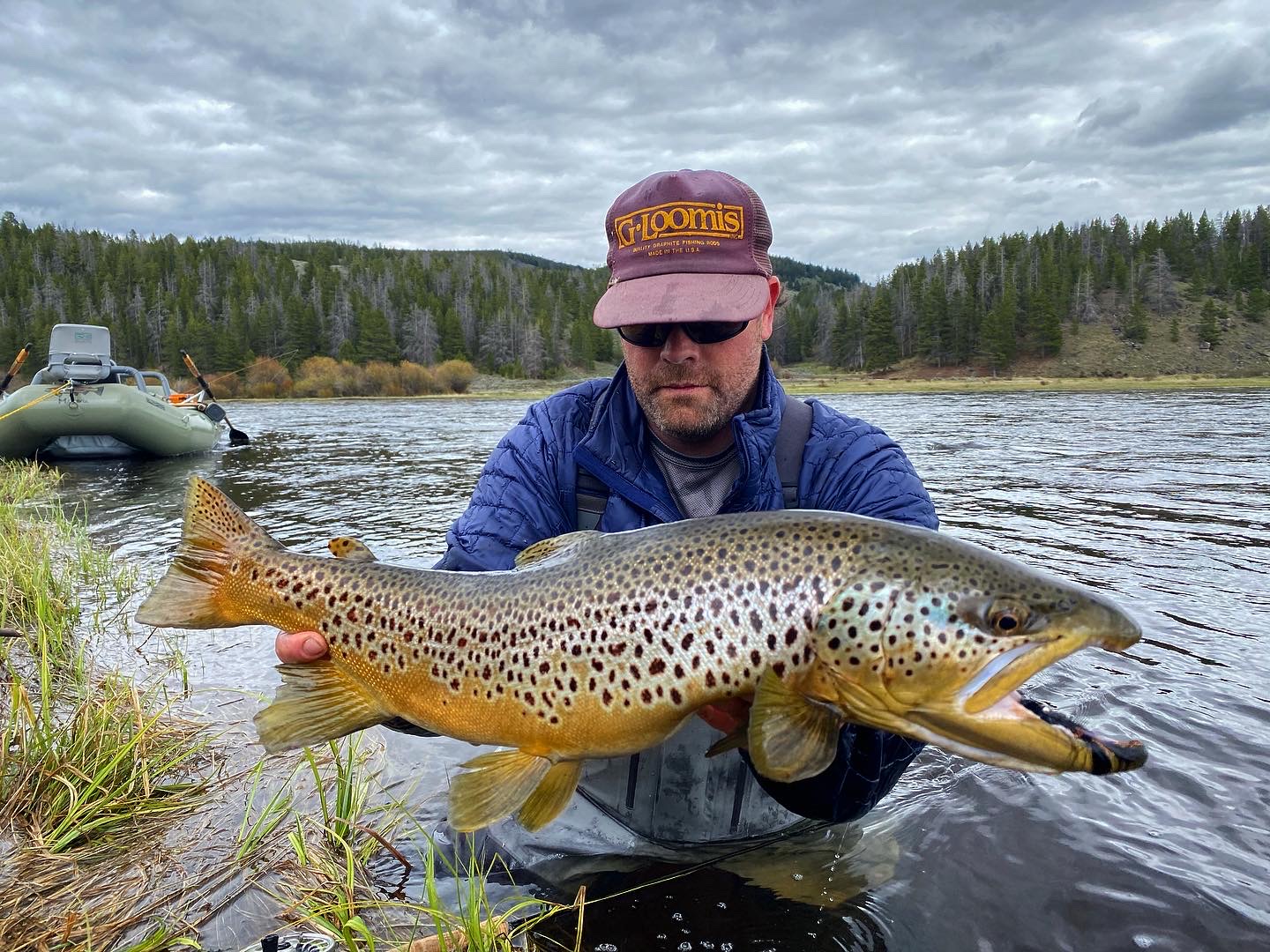 Trophy Brown Trout in Montana
