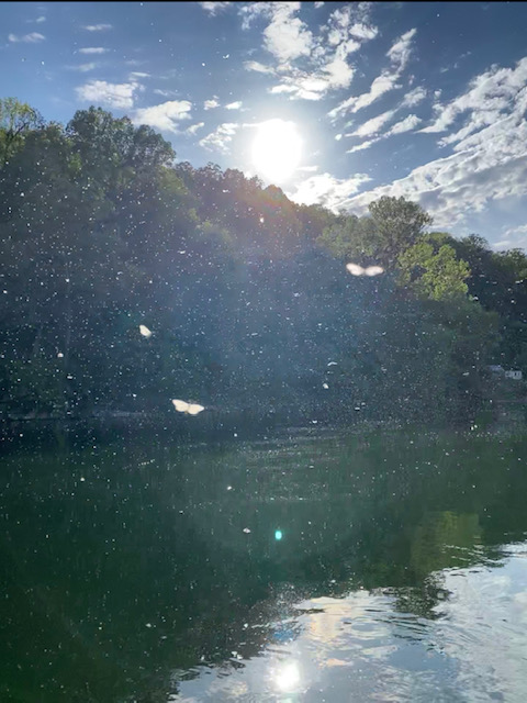 Dry Fly Madness White River