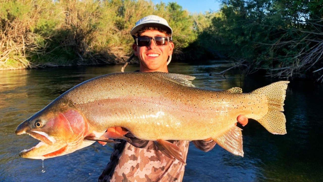 Idaho Cutthroat C&R Record Broken Again