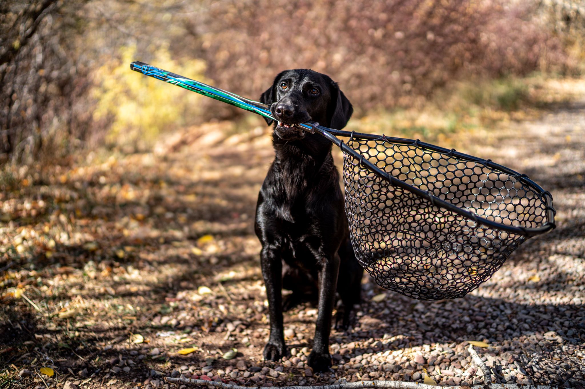 Gear Review: Oâ€™Pros Midwest Mid Length – 18″ Landing Net