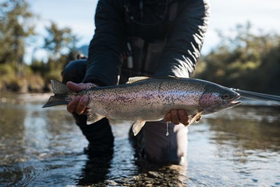 iliamna river rainbow trout