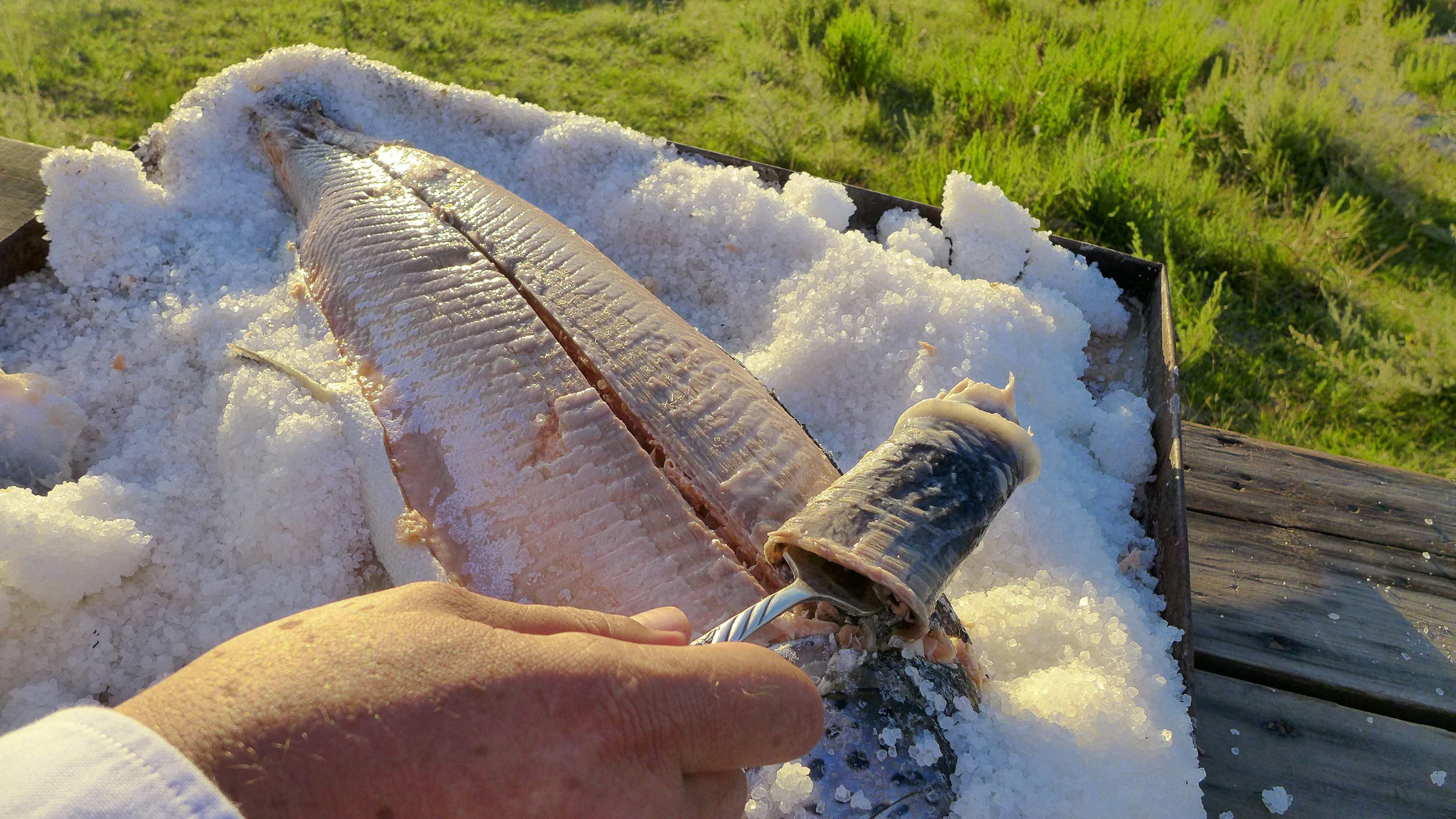 Fin to Fork: Salt-Baked Big Fish and Vegetables with Fresh Salsa Recipe