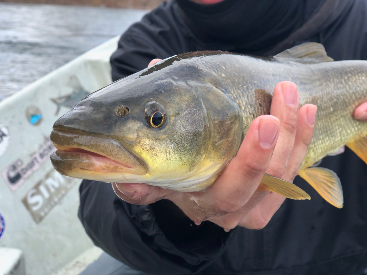 How to Get Paid to Fish in Oregon This Year