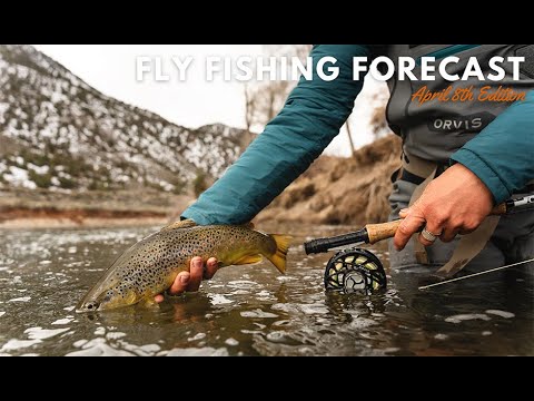 April Fly Fishing Forecast