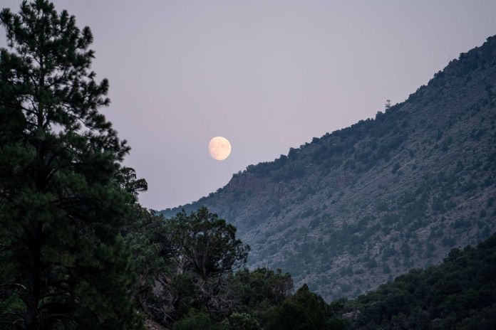 planning your backyard adventure