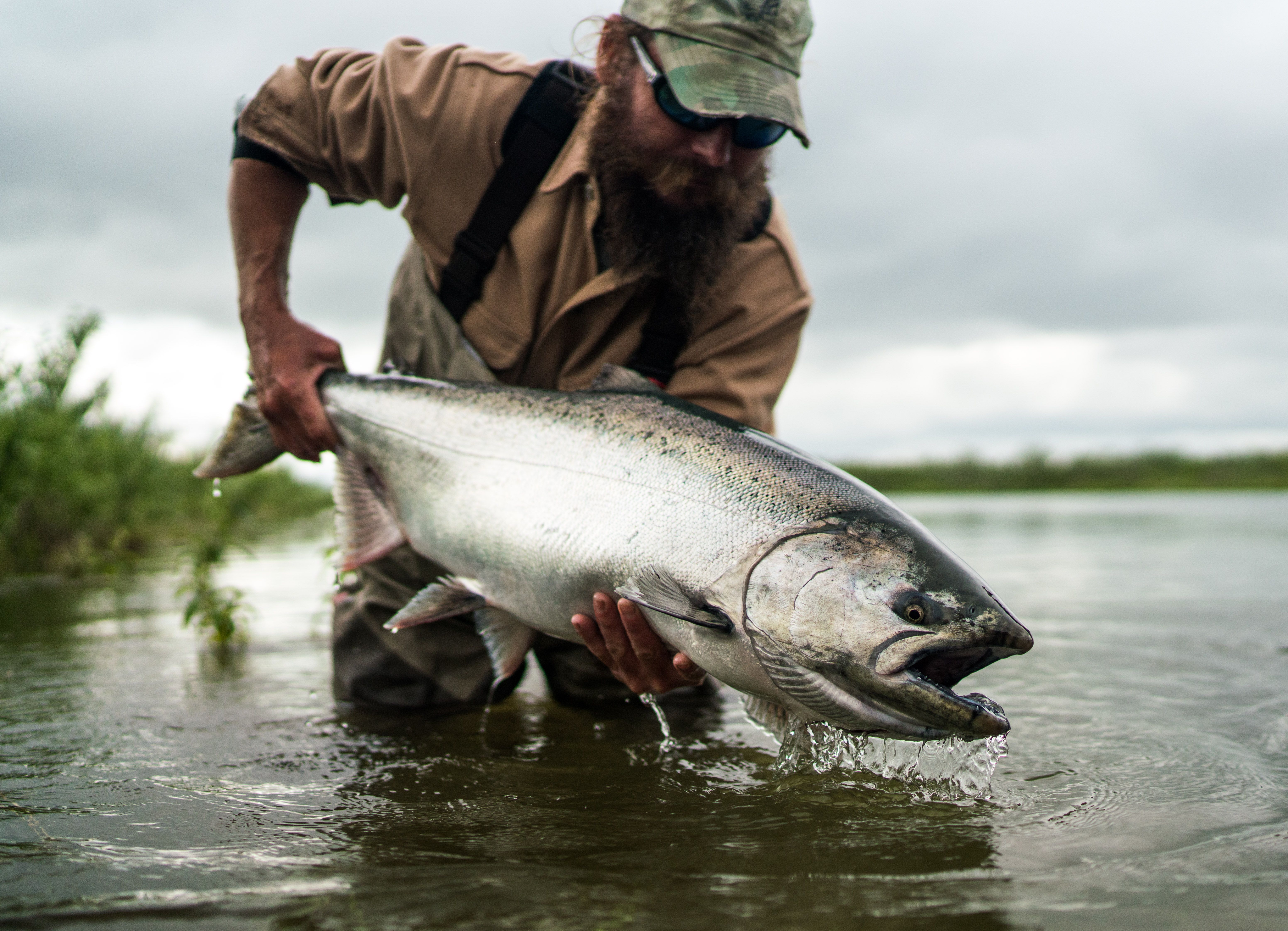 Your Guide to Fly Fishing for Alaskan Salmon