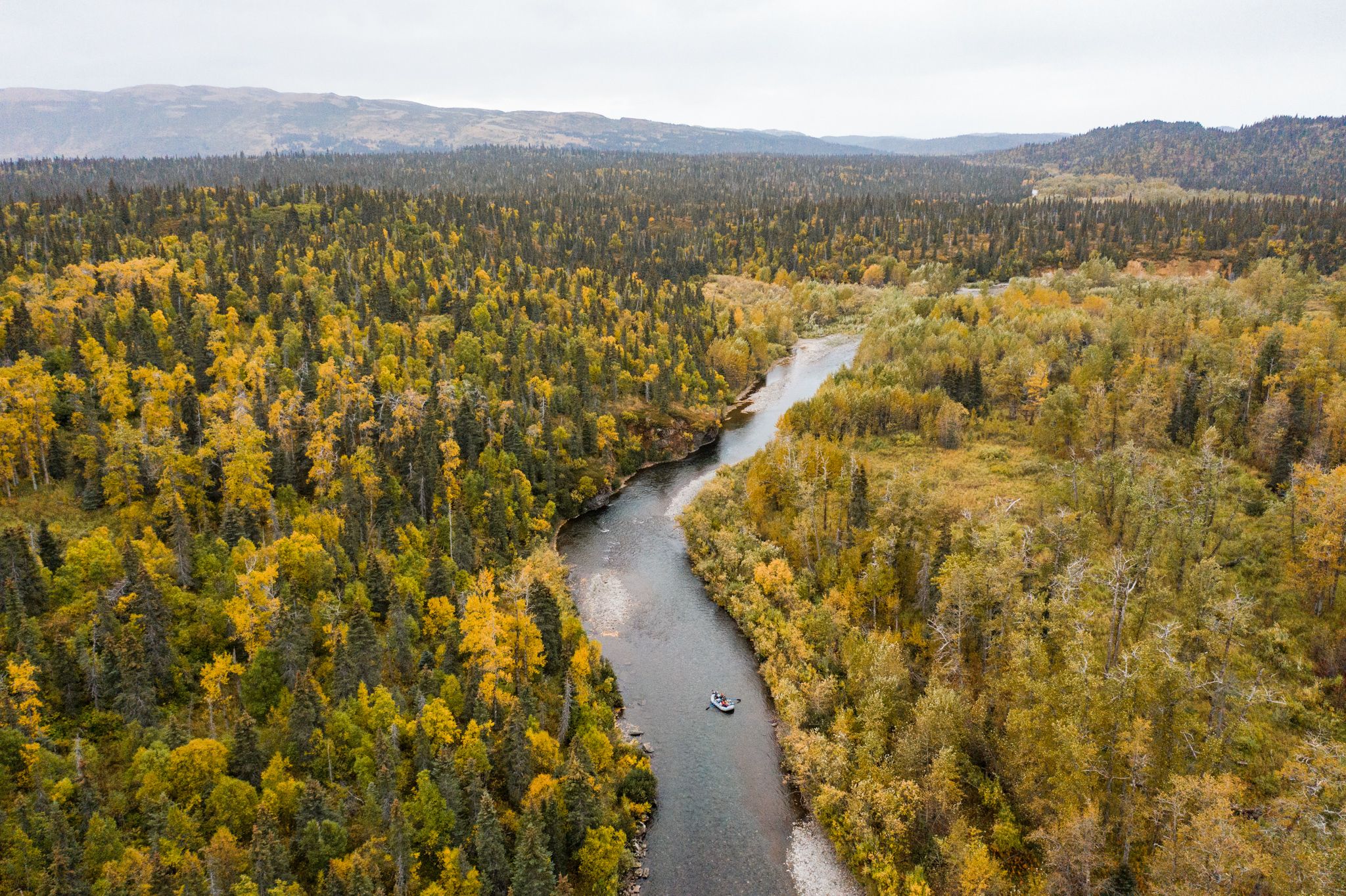 UPDATE: RAWA Introduced to U.S. Senate, Adopted in House